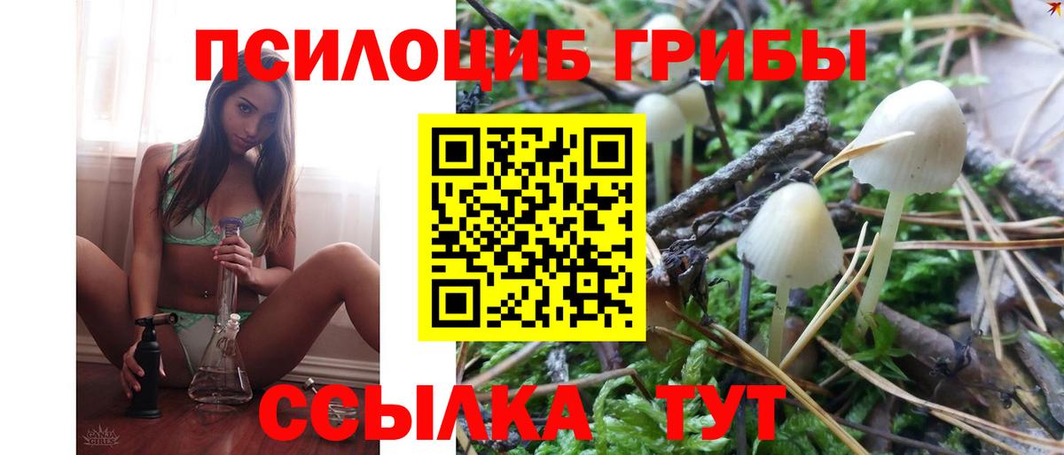 Псилоцибиновые грибы Psilocybine cubensis Армавир